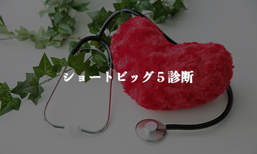 ショートビッグファイブ診断